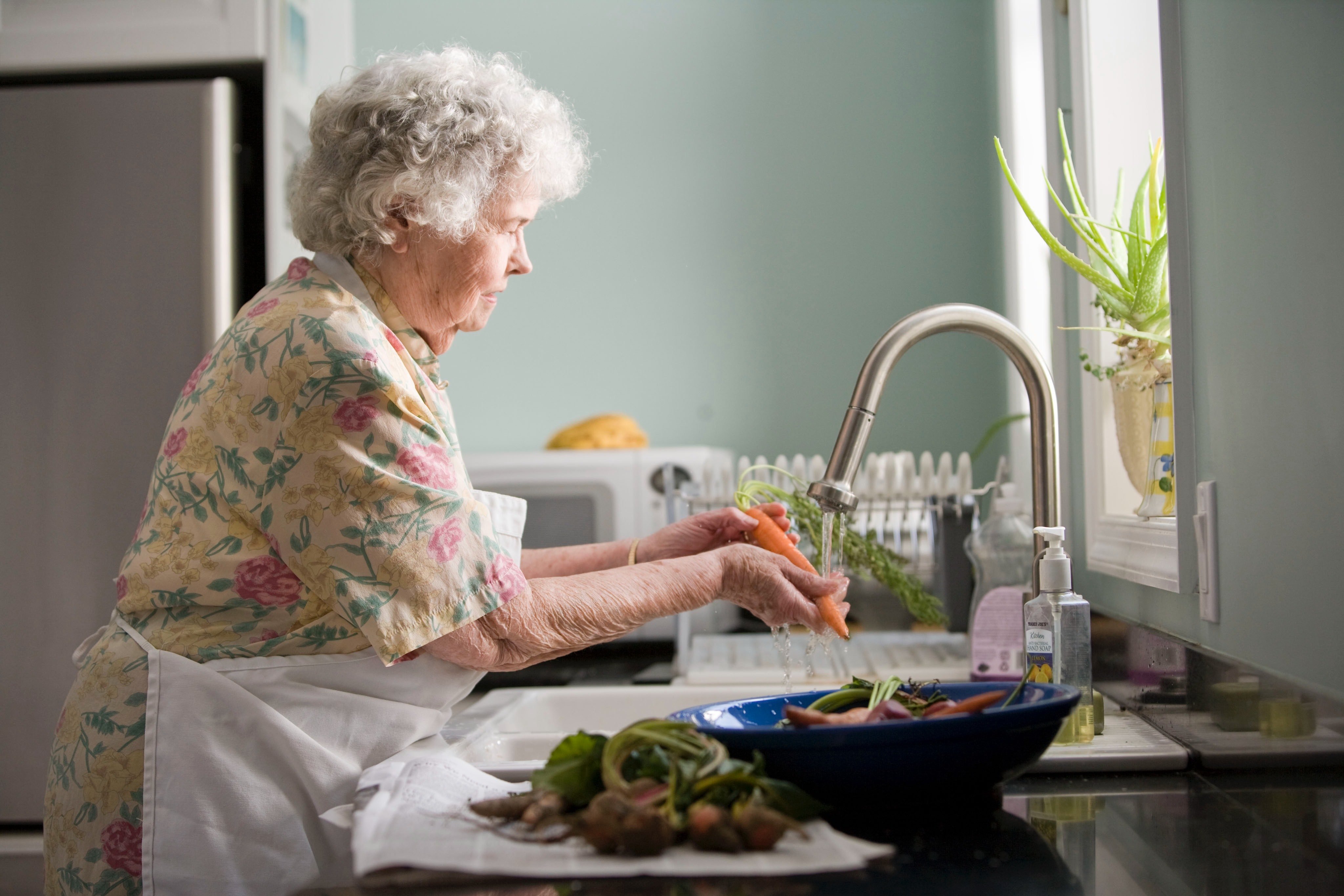 Diet supports the kidneys